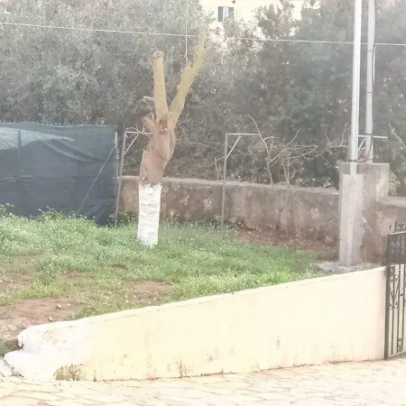Private Alexandros Villa Ágios Matthaíos